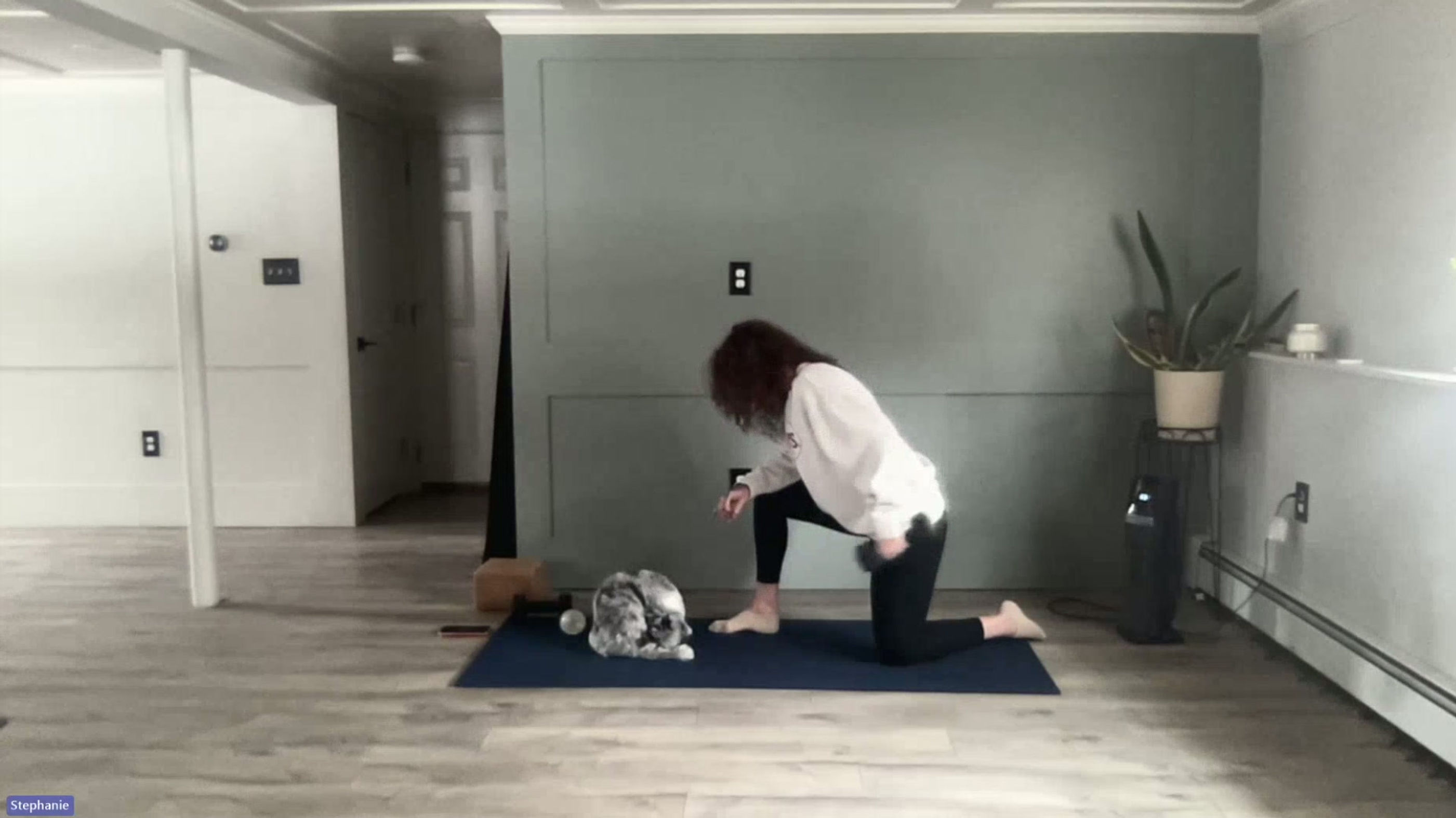 Total Body Strength 2.16.26 Stephanie